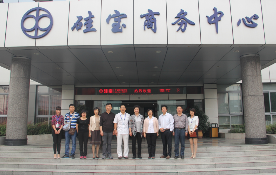 哈尔滨市人大常委会主任王颖一行调研硅宝